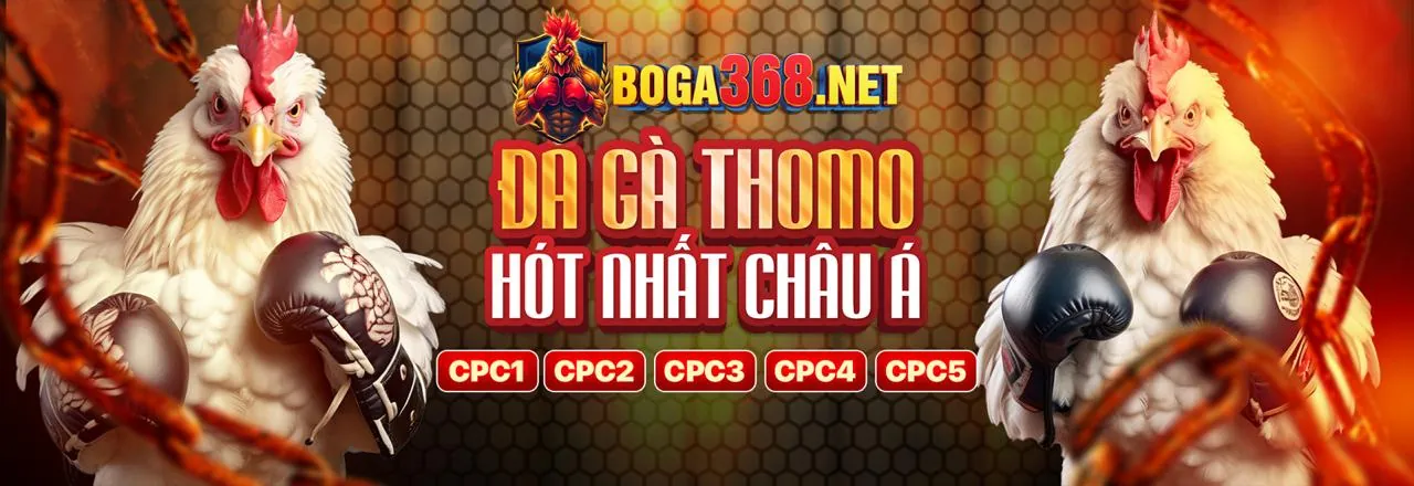 Hình ảnh banner blog 33vin link vào