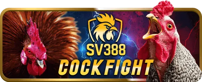 Người chơi trải nghiệm nổ hũ trên app 33VIN di động